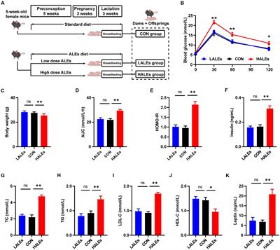 Effects of maternal advanced lipoxidation end products diet on the glycolipid metabolism and gut microbiota in offspring mice